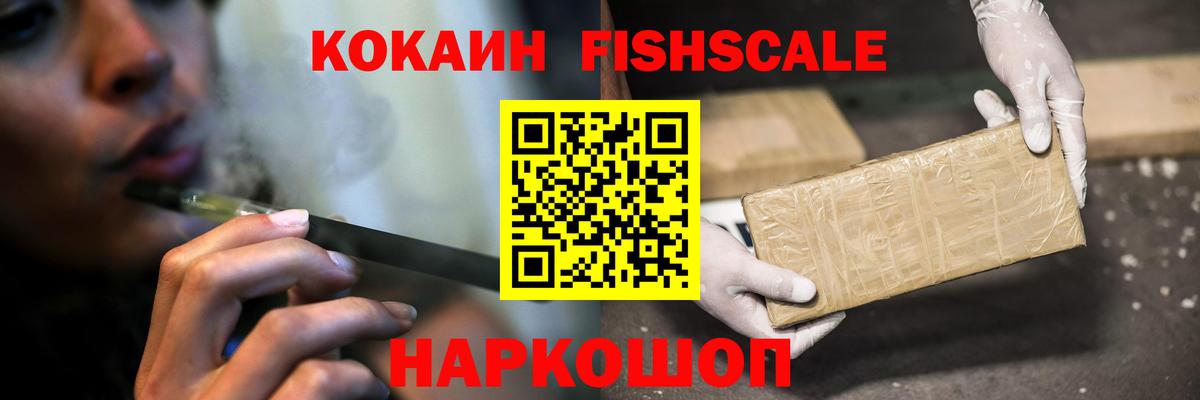 Калининград  Cocaine Fish Scale  Вход с VPN 