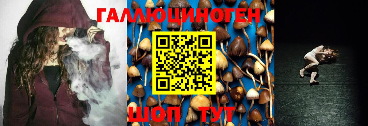 Псилоцибиновые грибы мухоморы Калининград